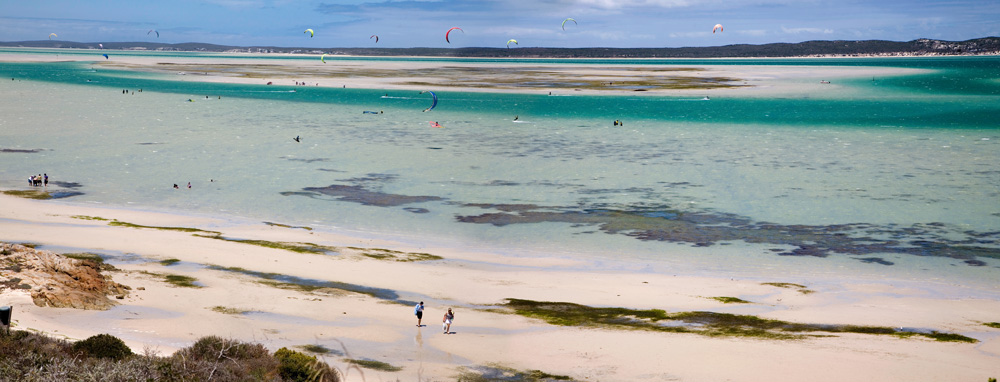 Kites-Langebaan-Shark-Bay